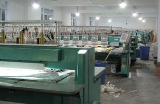 湖南株洲電腦繡花產業現狀 低端簡易加工與軟硬件輔助設備的應用探析