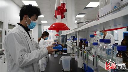 邯鄲市科技特派團(tuán)賦能生物科技“小巨人” 以創(chuàng)新研發(fā)驅(qū)動產(chǎn)業(yè)大能量